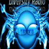 undefined Diversity Radio 