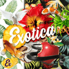 undefined Exotica Radio