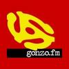 undefined GONZO FM