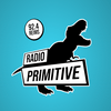 undefined Radio Primitive