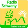 undefined Schwany Instrumental