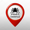 undefined Radio Tarántula Digital