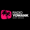 undefined YOWANK radio