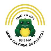 Radio Radio Cultural De Puriscal