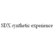 Radio SDX synthetic experience