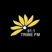 Radio Tribe FM