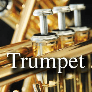 Écoutez CALM RADIO - Trumpet dans l'application