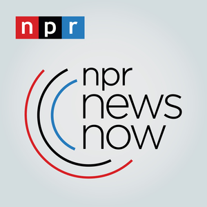 Écoutez NPR 24 dans l'application