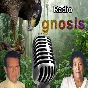 Écoutez Radio Gnosis dans l'application