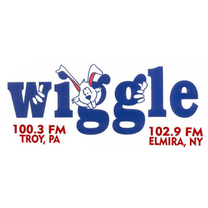 Écoutez WHGL-FM - Wiggle 100.3 dans l'application