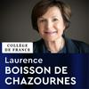 undefined Avenir Commun Durable (2022-2023) - Laurence Boisson de Chazournes