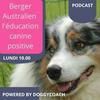 undefined Berger Australien l'éducation canine positive