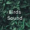 undefined Birds Sound