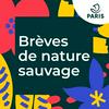 undefined Brèves de Nature Sauvage