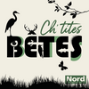 undefined Ch'tites bêtes