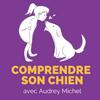 undefined Comprendre son chien