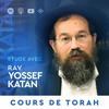 undefined Cours de Torah & Thèmes