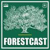 undefined Forestcast