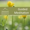 undefined How to meditate | Guided Meditation and talks