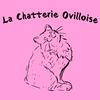 undefined La Chatterie Ovilloise - Élevage de chatons Sibériens - Conseils pour une adoption réussie !