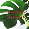 undefined La domestication des plantes