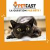 undefined La question pas bête ! 🐾🧐