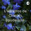 undefined L’albatros de Charles Baudelaire