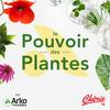 undefined Le pouvoir des plantes par Arkopharma