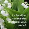 undefined Le Syndicat National des Territoriaux vous parle !