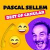 undefined Les canulars de Pascal Sellem diffusés sur Rire & Chansons