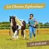 undefined Les Chevaux Explorateurs