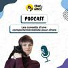 undefined Les conseils d'une comportementaliste pour chats