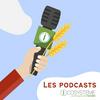 undefined Les  Podcasts d'Icosystème