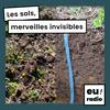 undefined Les sols, merveilles invisibles - Tiphaine Chevalier