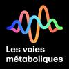 undefined Les voies métaboliques