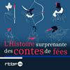 undefined L'Histoire surprenante des Contes de Fées