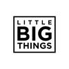 undefined LITTLE BIG THINGS