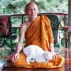 undefined Luangpor Paisal Visalo‘s Podcast (ธรรมะ จาก หลวงพ่อไพศาล วิสาโล)