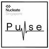 undefined Nucleate Singapore Pulse