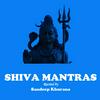 undefined Om Nama Shivaya - Shiva Mantra Chants recited by Sandeep Khurana