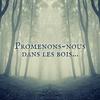 undefined Promenons-nous dans les bois