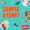 undefined Sample & Funky