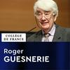 undefined Théorie économique et organisation sociale - Roger Guesnerie