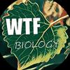 undefined WTF, Biology?