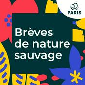 Podcast Brèves de Nature Sauvage