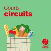 Podcast Courts circuits