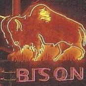 Podcast Electric Bison