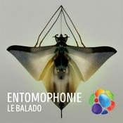 Podcast Entomophonie