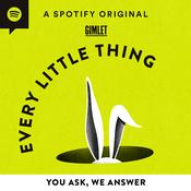 Podcast Every Little Thing