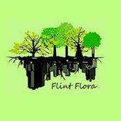 Podcast Flint Flora